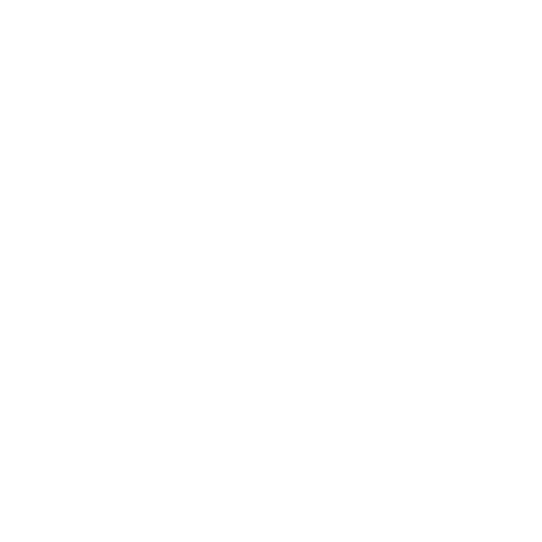 Stom Icon